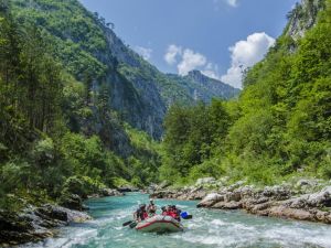 Rafting Tara - 14km