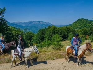 Horseback riding tour